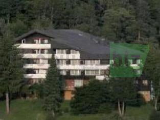 hotel Padurea Neagra Germania