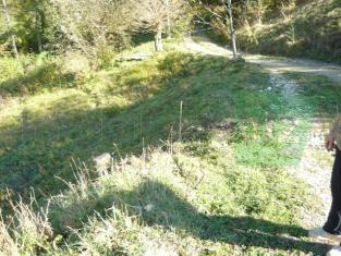 teren Sohodol Bran